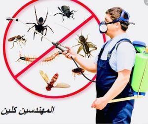 شركة مكافحة حشرات بخميس مشيط